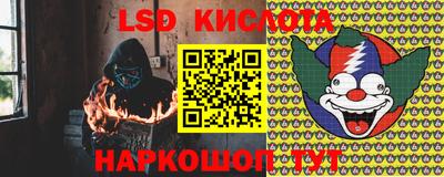 ПСИЛОЦИБИНОВЫЕ ГРИБЫ Новодвинск
