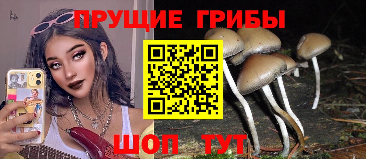 Псилоцибиновые грибы прущие грибы  Галлюциногенные грибы Psilocybine cubensis  Вход с VPN  Архангельск 